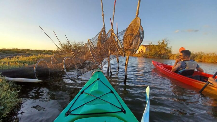 Montpellier : Birdwatching by kayak in the Camargue - Useful details before you go
