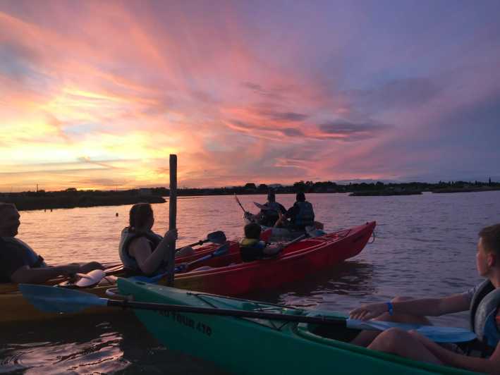 Montpellier : Birdwatching by kayak in the Camargue - Following the lagoon’s birdlife
