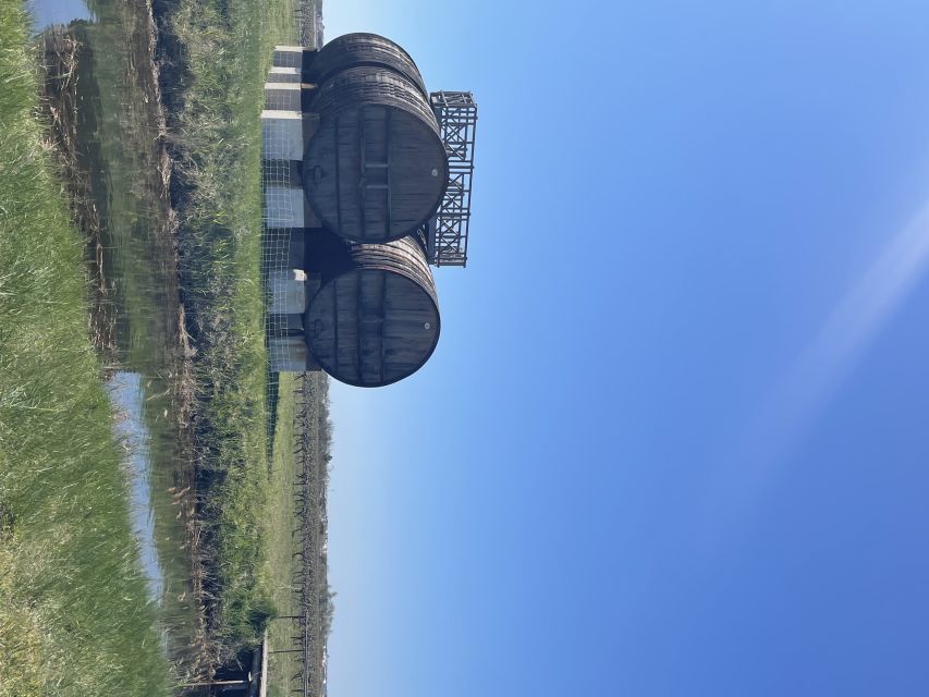 Montpellier : half day wine tour in Camargue - Key points at a glance