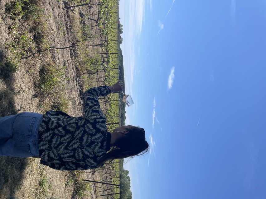 Montpellier : half day wine tour in Camargue - A Camargue picnic in the vineyard