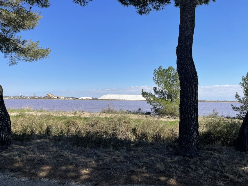 Montpellier : half day wine tour in Camargue - Practical details that make the morning easier