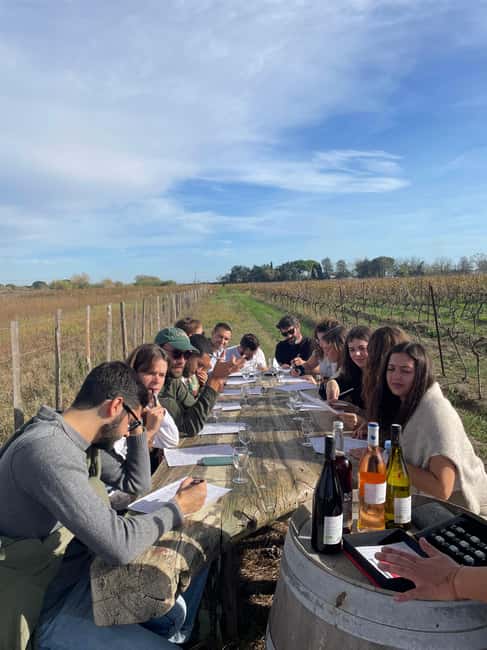 Montpellier : half day wine tour in Camargue - Should you book it?