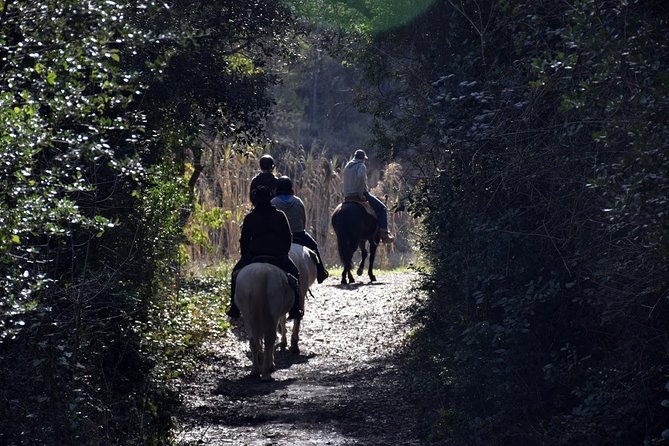 Montserrat Horseback Riding & Monastery – Small Group (Max 8) - Riding among the Montserrat hills