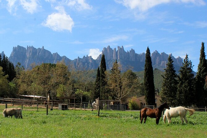 Montserrat Horseback Riding & Monastery – Small Group (Max 8) - Timing, comfort, and the return to Barcelona
