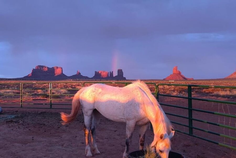 Monument Valley: Horseback Adventure Tour - Key points to know before you ride