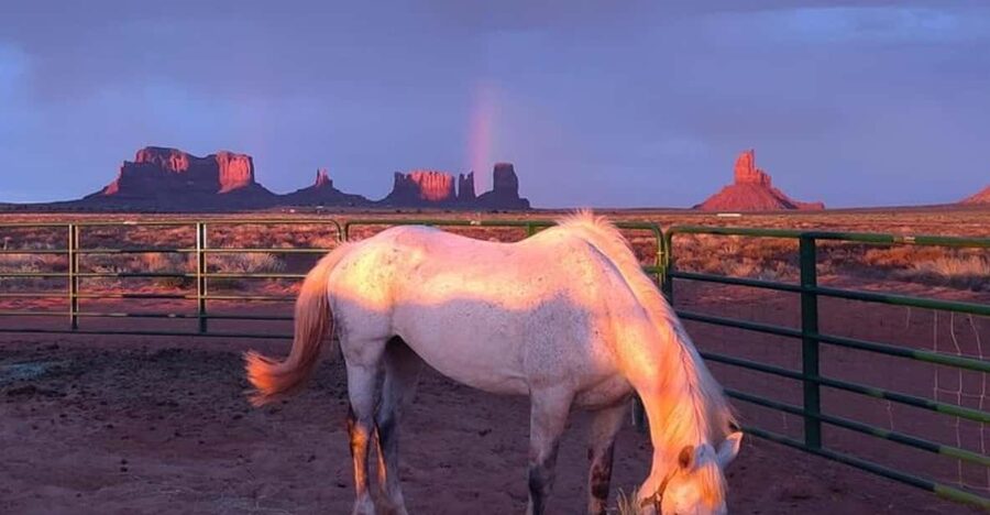 Monument Valley: Horseback Adventure Tour - Starting at the KOA Campground