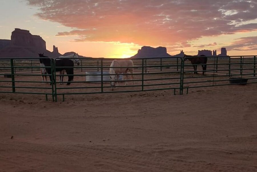 Monument Valley: Horseback Adventure Tour - The Two Mittens and the best photo moments