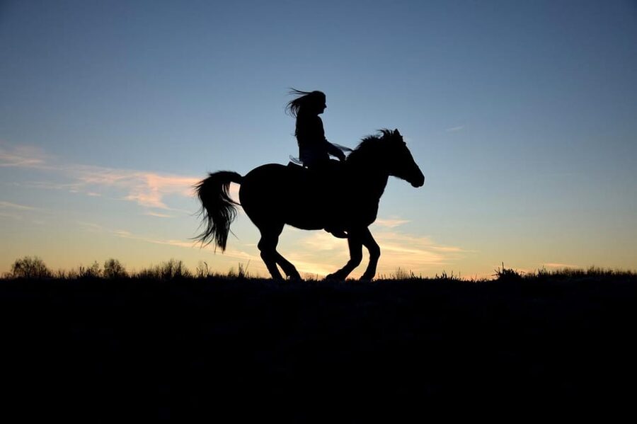 Monument Valley: Horseback Adventure Tour - Navajo culture and the meaning of the horse
