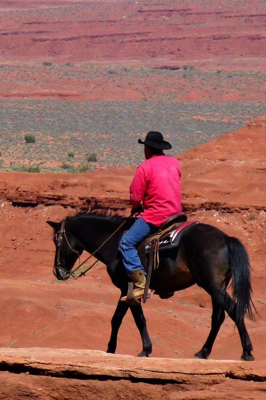 Monument Valley: Horseback Adventure Tour - Choosing the right horse for your experience