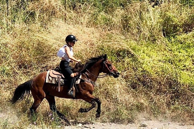 Mount Vesuvius Guided Horse Riding Tour with Sample Wine - Getting ready for a steep Vesuvius trail
