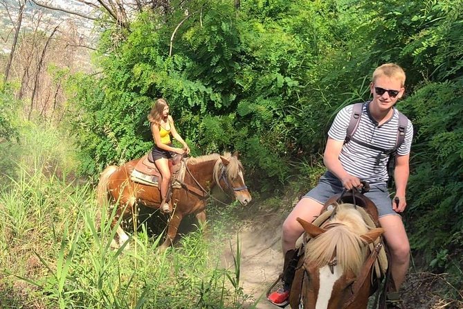 Mount Vesuvius Guided Horse Riding Tour with Sample Wine - The views over Naples Bay are the payoff