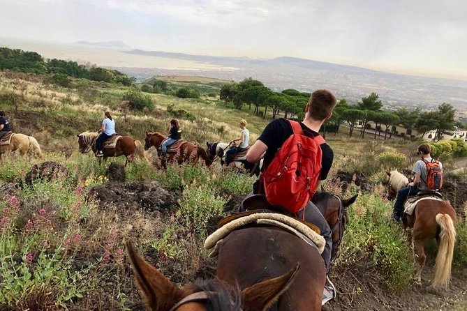 Mount Vesuvius Guided Horse Riding Tour with Sample Wine - Who will enjoy this ride most