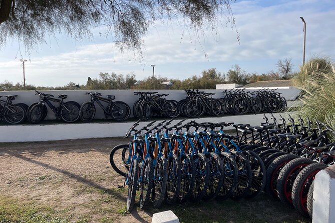 Mountain bike rental in Camargue - Mountain bike or electric scooter? Clarify before paying