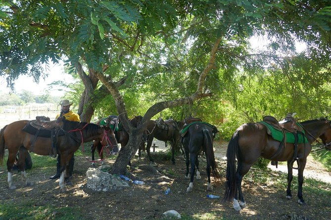 mountain horse back riding - A pause at the Boulula bar