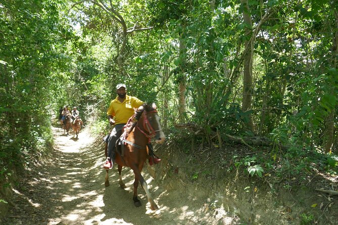 mountain horse back riding - Photo time with a mountain backdrop
