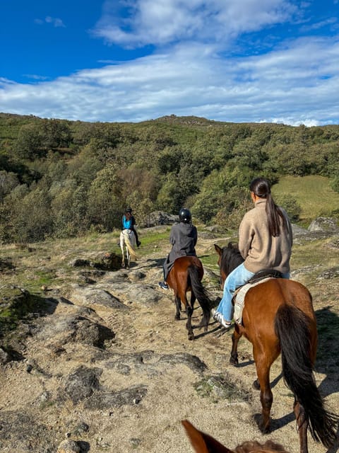 Mountain Horseback Ride & Lunch - What the two-hour horseback route feels like