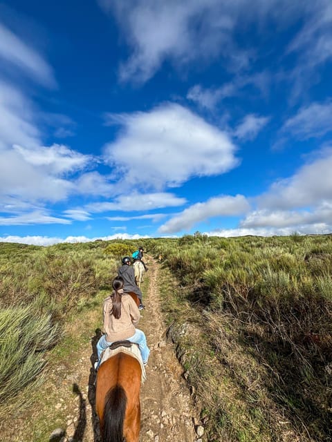 Mountain Horseback Ride & Lunch - Guides Ruben and Rodrigo can shape the day
