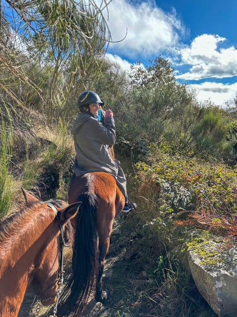Mountain Horseback Ride & Lunch - Is $282 a fair price for seven and a half hours?
