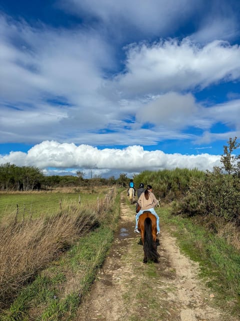 Mountain Horseback Ride & Lunch - Practical details before you reserve