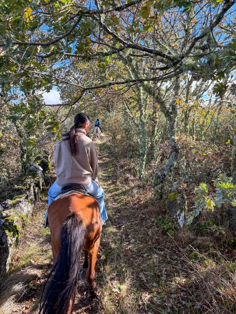 Mountain Horseback Ride & Lunch - Should you book the Mountain Horseback Ride and Lunch?