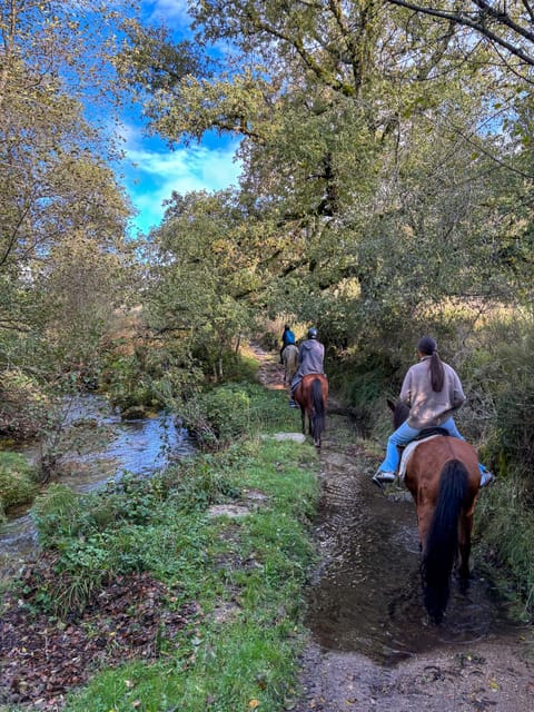 Mountain Horseback Ride & Lunch - FAQ