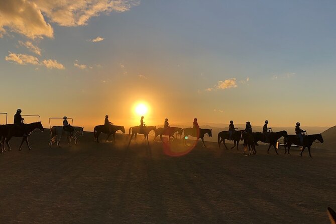 Mulholland Trail Horseback Tour - The ranch adds a little character before and after the ride