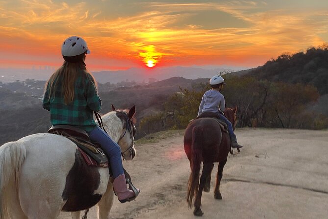 Mulholland Trail Horseback Tour - Calm horses and a friendly introduction for beginners