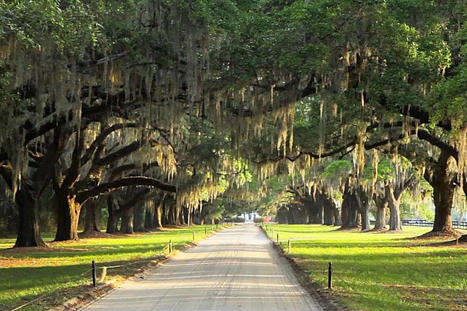 Myrtle Beach to Charleston with Horse & Carriage Ride, Harbor Cruise, Boone Hall - A long ride from Myrtle Beach to Charleston