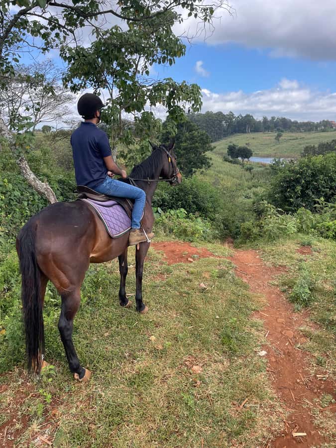 Nairobi: Karura Forest Horseback Riding Tour - Key points to know before you book