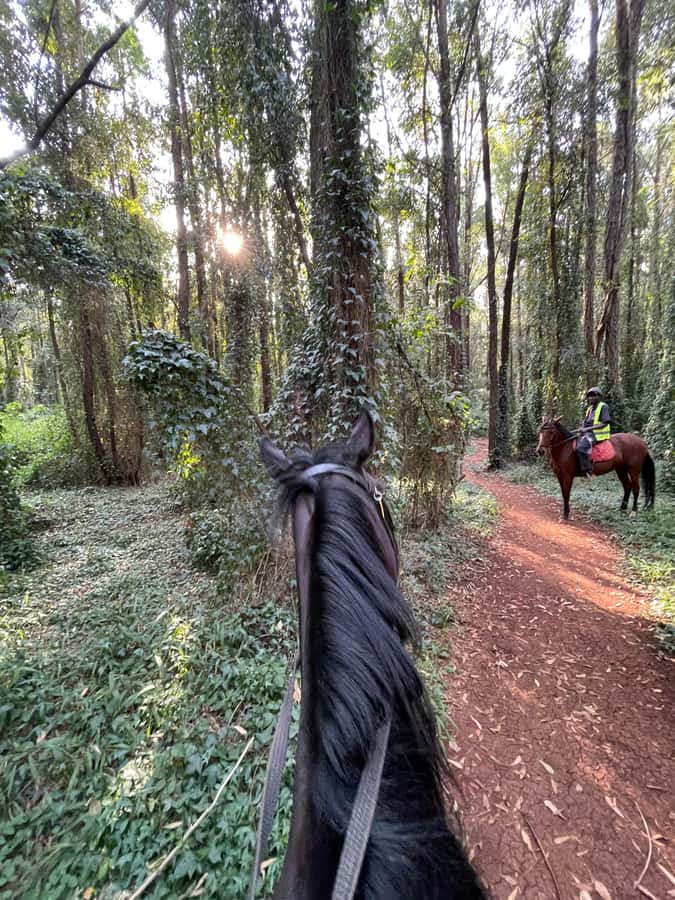 Nairobi: Karura Forest Horseback Riding Tour - Starting at Sigiria Gate