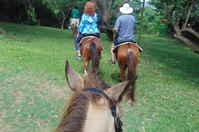 Nature & Historical Horseback Riding Tours St. Lucia - Old sugar works and the island’s working past