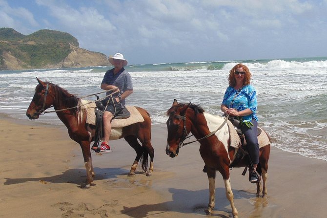 Nature & Historical Horseback Riding Tours St. Lucia - Coconut water, bananas, and a relaxed finish