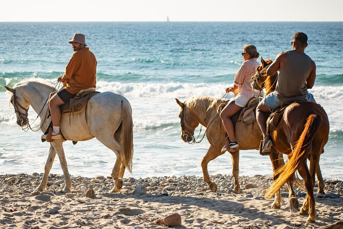 NEW!! Combo ATV & Horseback Ride. Beach & Desert. Tequila Tasting - Guides, Photos, and the Human Side of the Ride