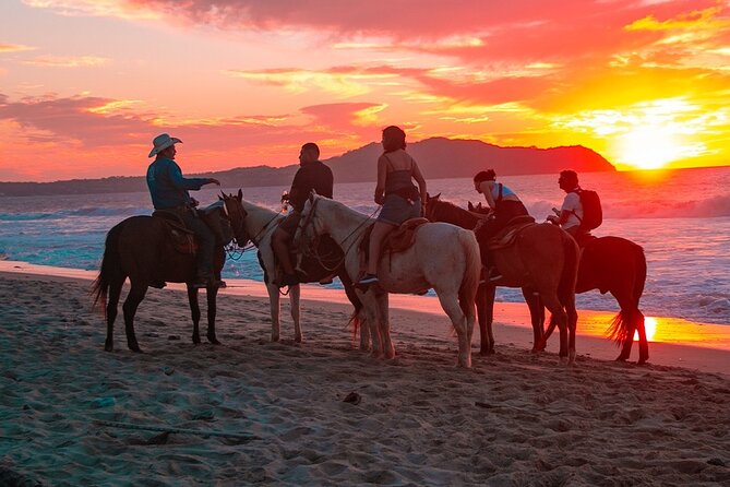 NEW!! Combo ATV & Horseback Ride. Beach & Desert. Tequila Tasting - Who Will Enjoy This Cabo Excursion