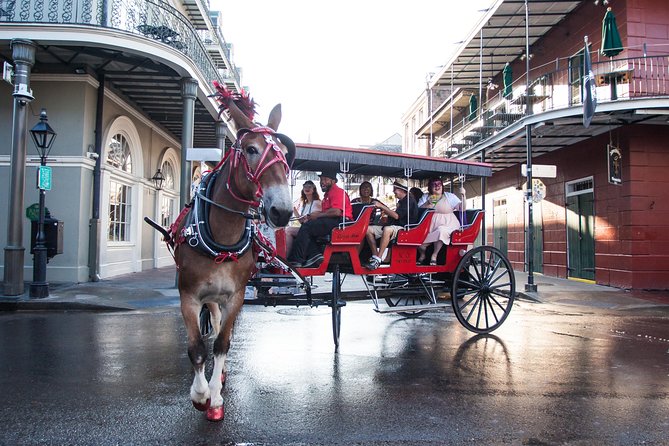 New Orleans French Quarter and More Carriage Ride - Why a carriage ride works well in New Orleans