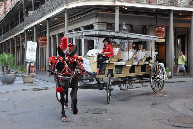 New Orleans French Quarter and More Carriage Ride - A glimpse beyond the busiest streets