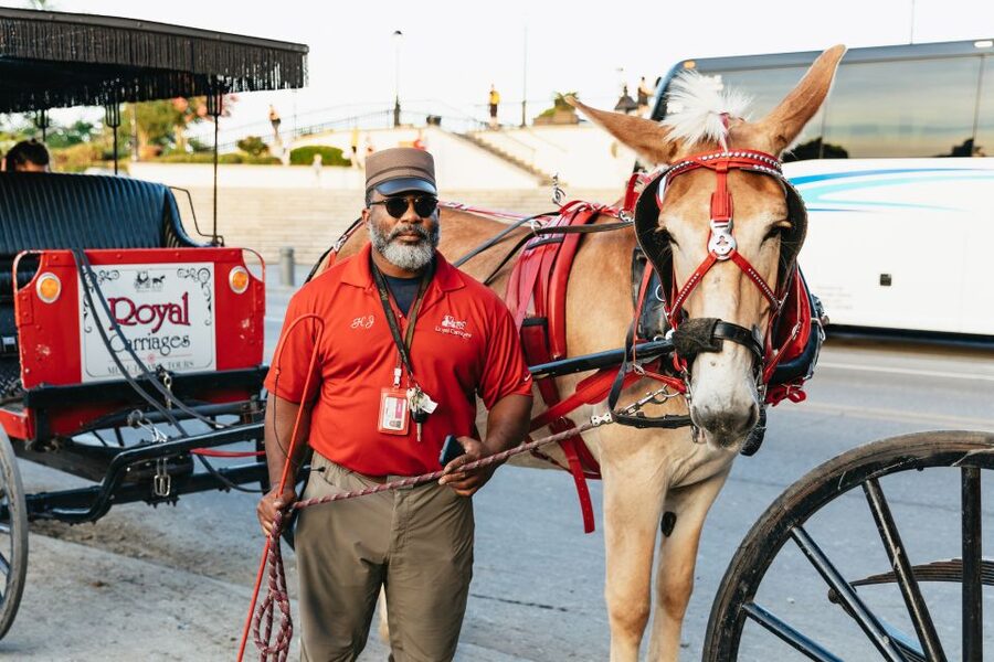 New Orleans: French Quarter Sightseeing Carriage Ride - Should you book the French Quarter carriage ride?