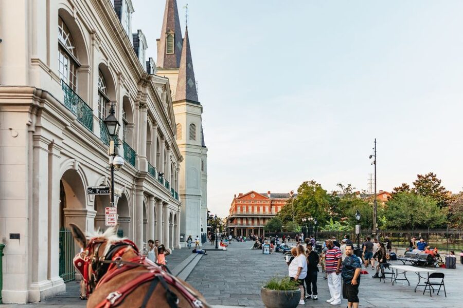 New Orleans: French Quarter Sightseeing Carriage Ride - Napoleon House, the French Market, and Bourbon Street
