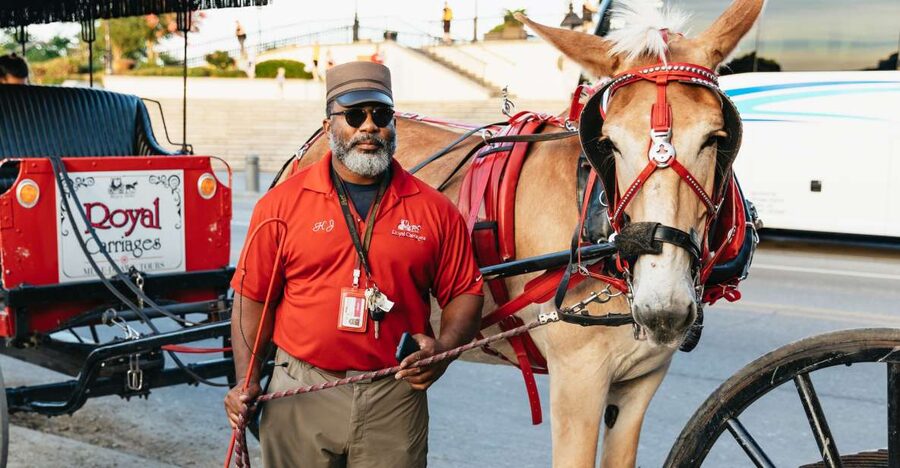 New Orleans: French Quarter Sightseeing Carriage Ride - Is $65 good value for one hour?