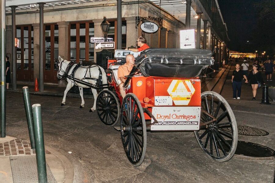 New Orleans: French Quarter Sightseeing Carriage Ride - Who will enjoy this most?