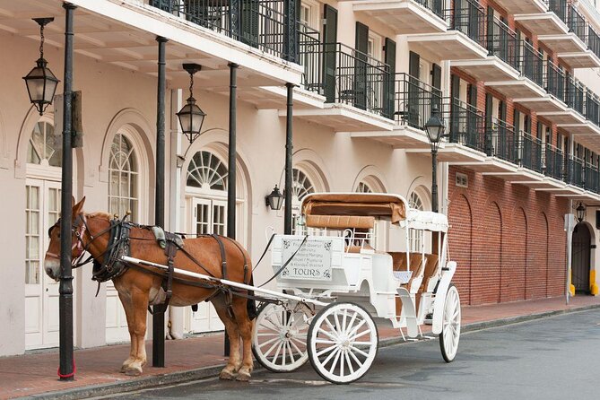 New Orleans Small-Group Haunted History Carriage Tour - Key points to know before you book