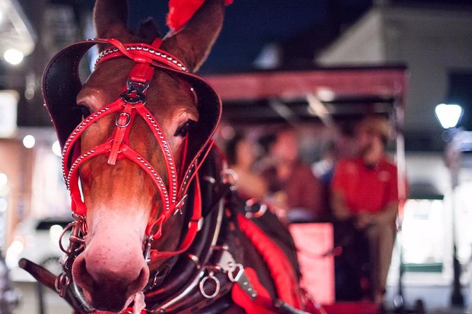 New Orleans Small-Group Haunted History Carriage Tour - Leaving Jackson Square at a mule’s pace