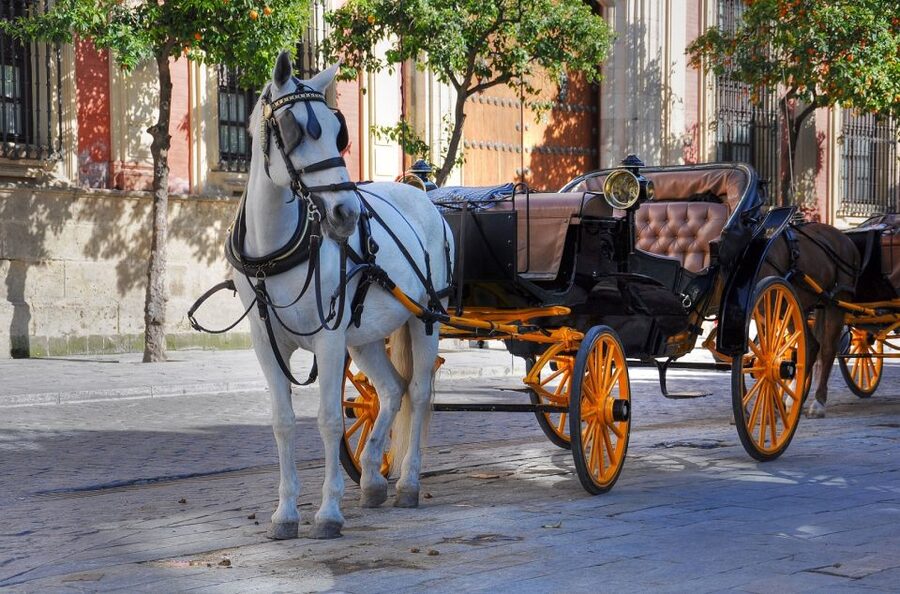 New York: Carriage Ride in Central Park - Tavern on the Green, Summer Stage, and the Loeb Boathouse
