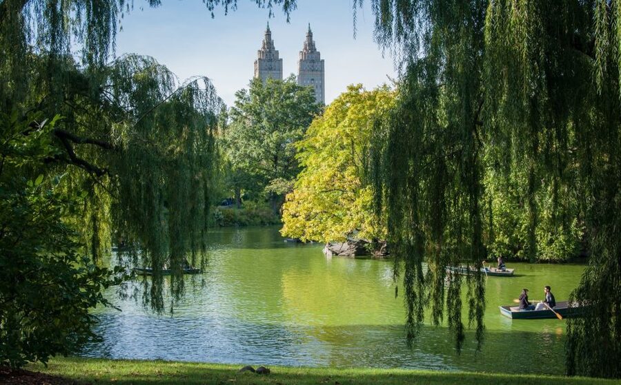 New York: Carriage Ride in Central Park - Winter comfort and seasonal planning