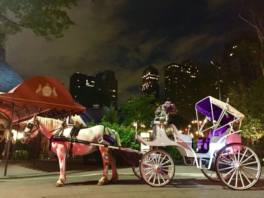 New York: Carriage Ride in Central Park - Entering Central Park at an easy pace