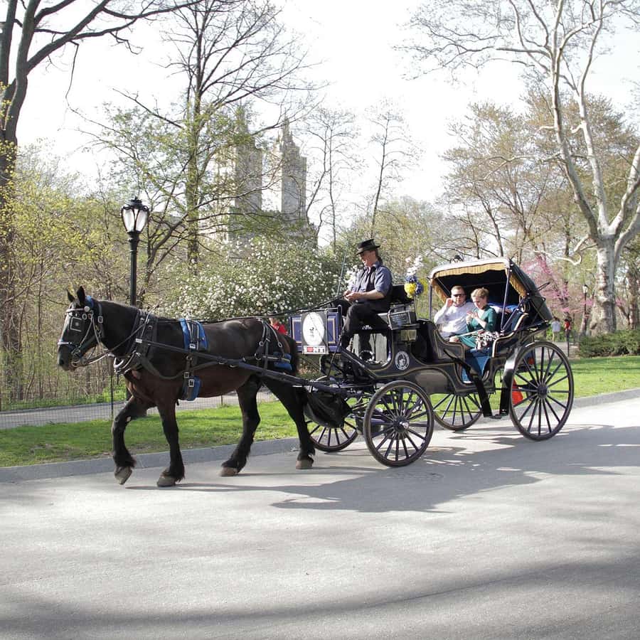 New York City: Central Park Horse Carriage 25-min Ride - Finding the carriage on West Drive