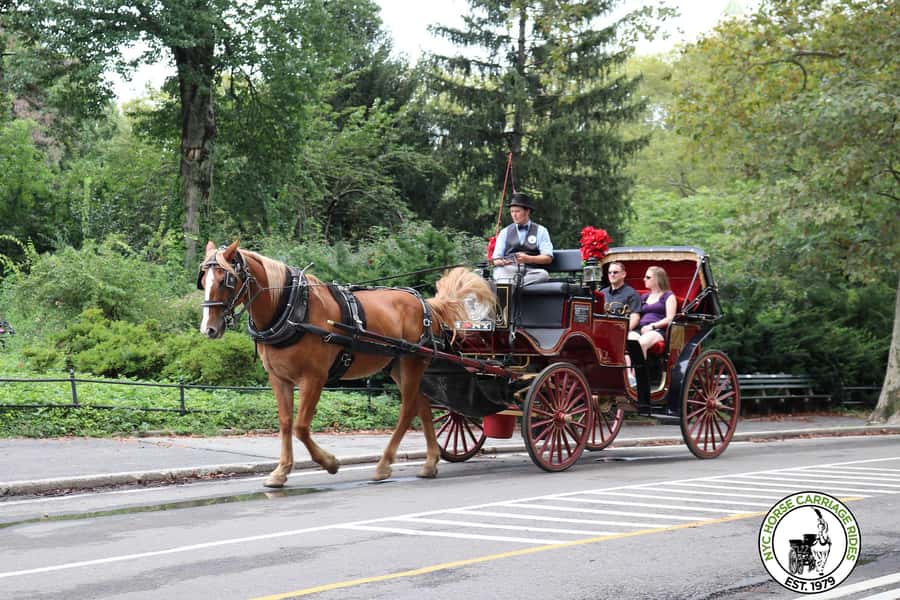 New York City: Central Park Horse Carriage 25-min Ride - The Carousel and Chess & Checker House