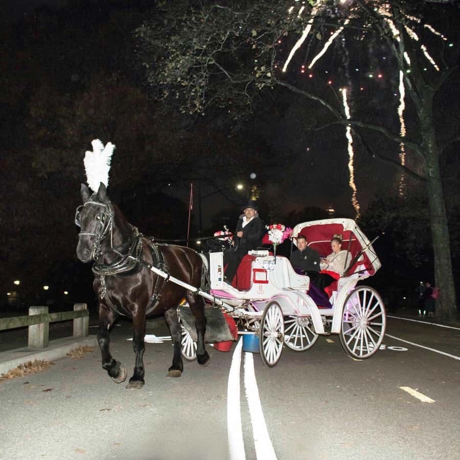 New York City: Central Park Horse Carriage 25-min Ride - The Dairy, the tour’s main photo stop