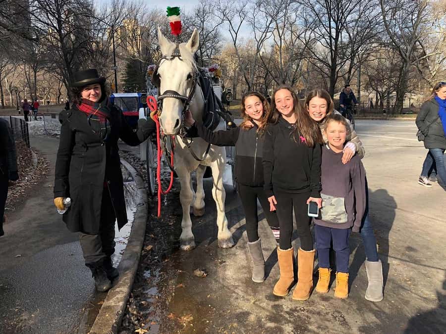 New York City: Central Park Horse Carriage 25-min Ride - The Central Park Zoo and a quieter side of the route