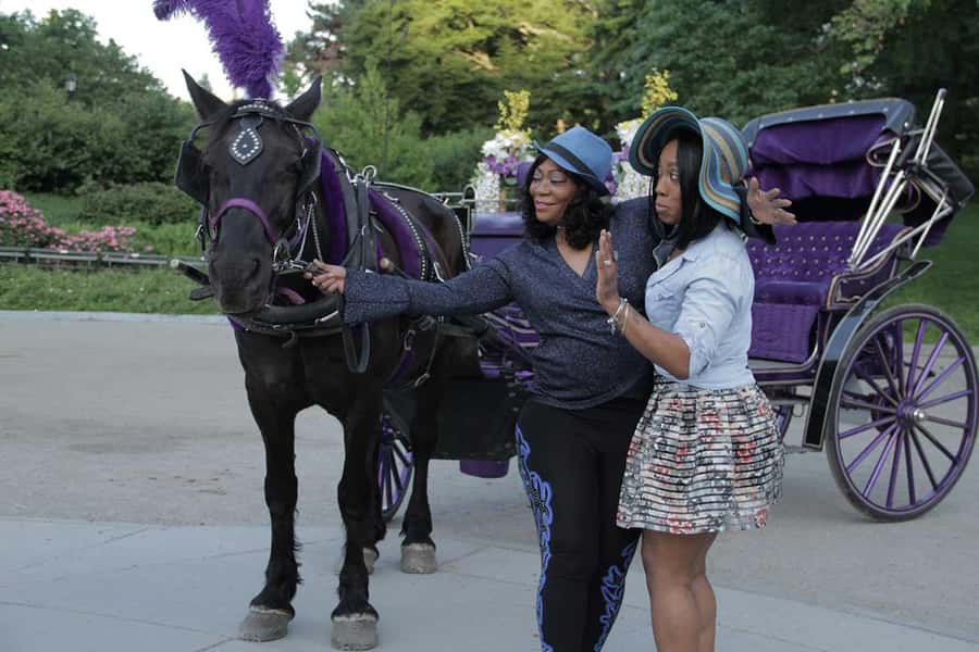 New York City: Central Park Horse Carriage 25-min Ride - The Plaza Hotel and the return to the city